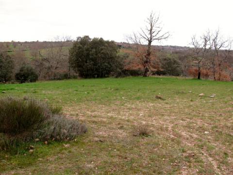 Terreno, Miranda do Douro