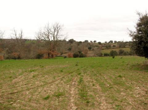 Terreno, Miranda do Douro