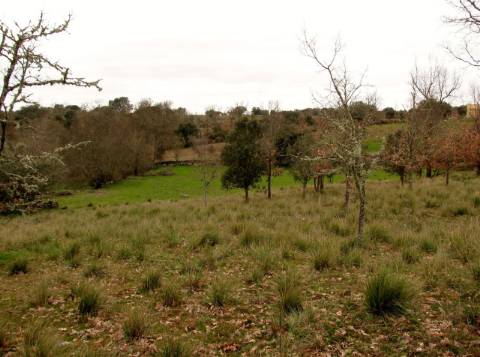 Terreno, Miranda do Douro