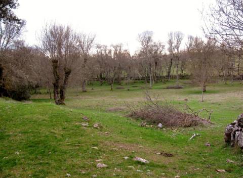 Terreno, Miranda do Douro