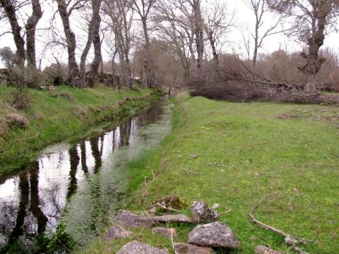 Terreno, Miranda do Douro