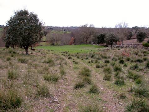 Terreno, Miranda do Douro