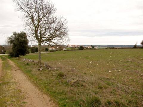Terreno, Miranda do Douro