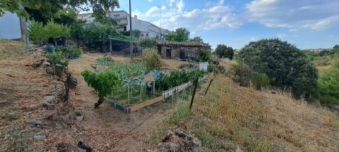 Moradia térrea em Miranda do Douro