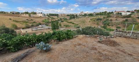 Moradia térrea em Miranda do Douro