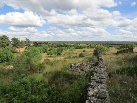 Terreno, Miranda do Douro