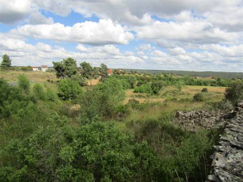Terreno, Miranda do Douro