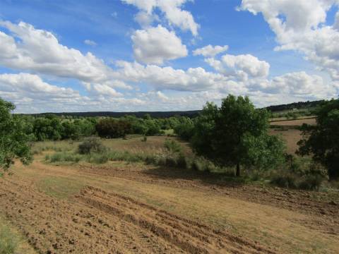 Terreno, Miranda do Douro