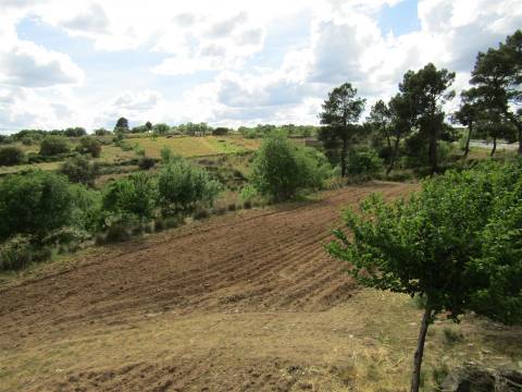 Terreno, Miranda do Douro