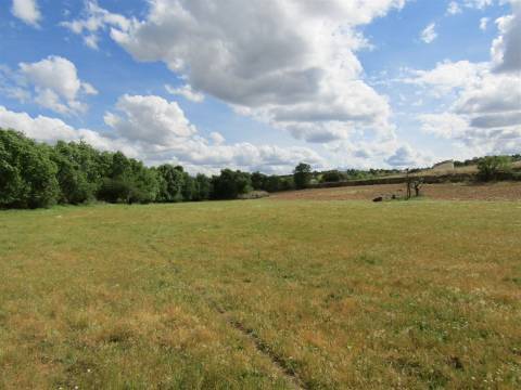 Terreno, Miranda do Douro