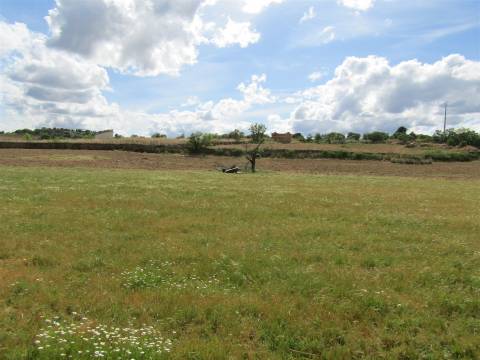 Terreno, Miranda do Douro