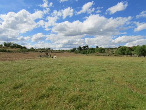 Terreno, Miranda do Douro