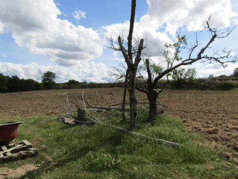 Terreno, Miranda do Douro
