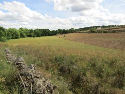 Terreno, Miranda do Douro