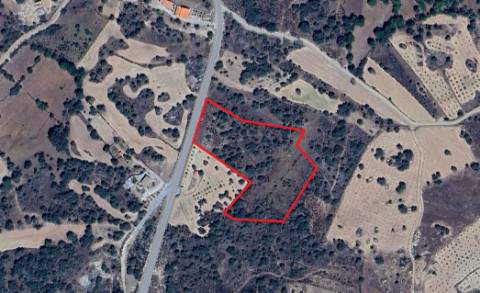 Terreno  Venda em Miranda do Douro,Miranda do Douro