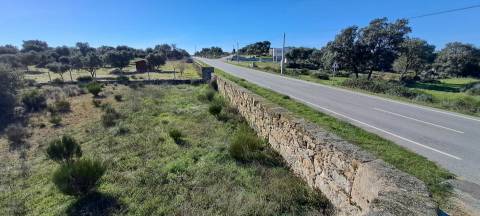 Terreno  Venda em Miranda do Douro,Miranda do Douro