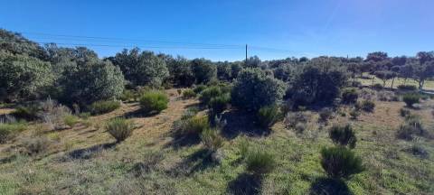 Terreno  Venda em Miranda do Douro,Miranda do Douro