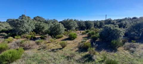 Terreno  Venda em Miranda do Douro,Miranda do Douro