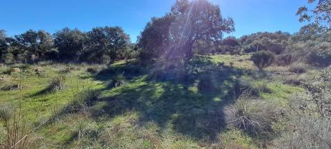 Terreno  Venda em Miranda do Douro,Miranda do Douro
