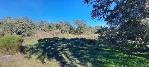 Terreno  Venda em Miranda do Douro,Miranda do Douro