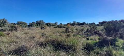 Terreno  Venda em Miranda do Douro,Miranda do Douro