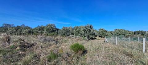 Terreno  Venda em Miranda do Douro,Miranda do Douro