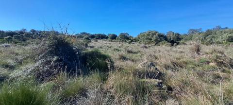 Terreno  Venda em Miranda do Douro,Miranda do Douro