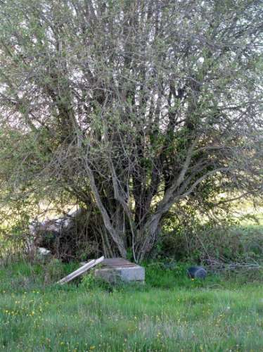 Terreno em Miranda do Douro