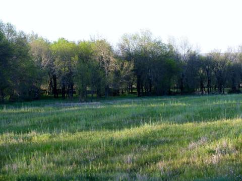 Terreno em Miranda do Douro