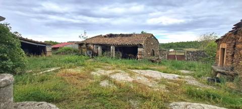 Quinta em Travanca, Mogadouro