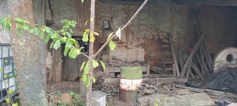 Quinta em Travanca, Mogadouro