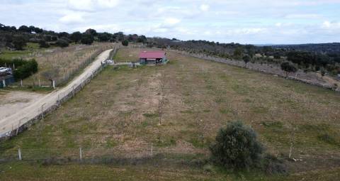 Terreno com arvores de fruto e uma construção, em Miranda do Douro.