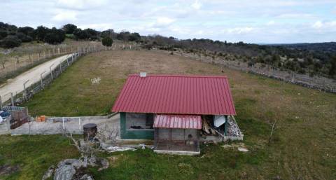 Terreno com arvores de fruto e uma construção, em Miranda do Douro.