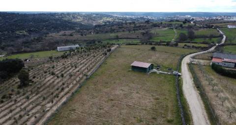 Terreno com arvores de fruto e uma construção, em Miranda do Douro.