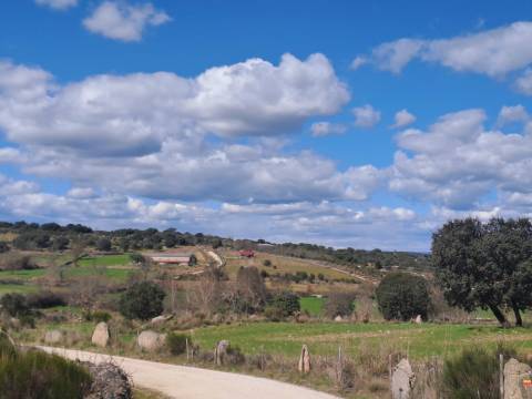 Terreno com arvores de fruto e uma construção, em Miranda do Douro.