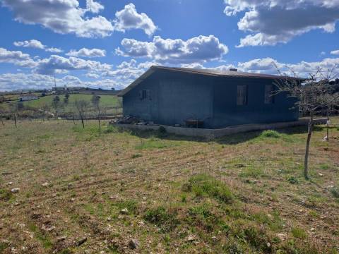 Terreno com arvores de fruto e uma construção, em Miranda do Douro.
