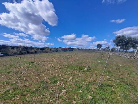 Terreno com arvores de fruto e uma construção, em Miranda do Douro.