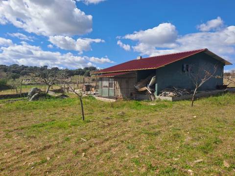 Terreno com arvores de fruto e uma construção, em Miranda do Douro.