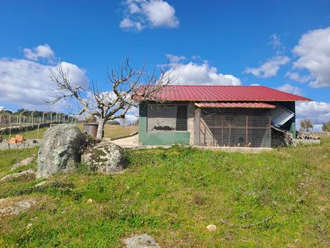 Terreno com arvores de fruto e uma construção, em Miranda do Douro.