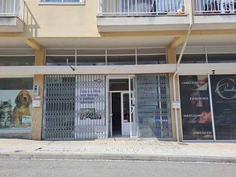 Loja Comercial em Miranda do Douro