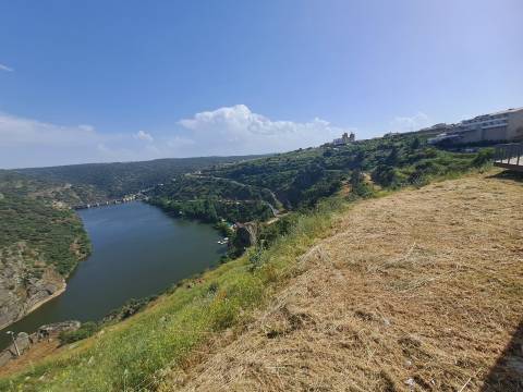 Loja Comercial em Mirnada do Douro