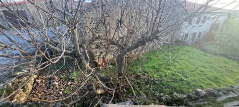 Arrecadação  Venda em Póvoa,Miranda do Douro