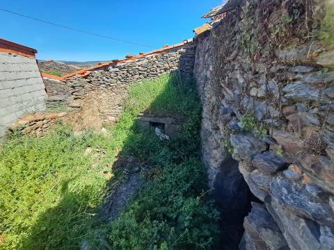 Moradia para restaurar em Teixeira, Miranda do Douro