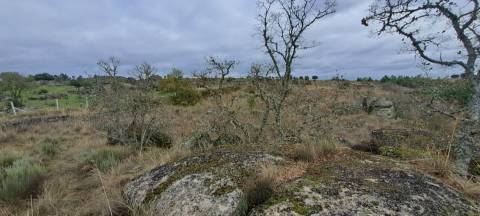Terreno Rústico  Venda em Sendim e Atenor,Miranda do Douro