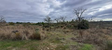 Terreno Rústico  Venda em Sendim e Atenor,Miranda do Douro