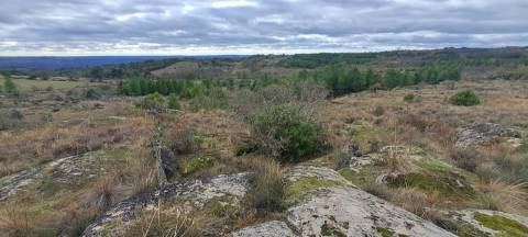 Terreno Rústico  Venda em Sendim e Atenor,Miranda do Douro
