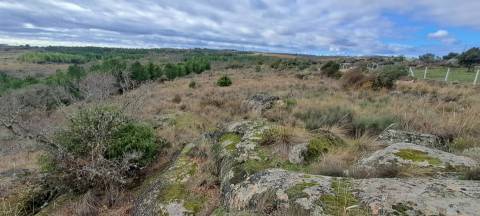 Terreno Rústico  Venda em Sendim e Atenor,Miranda do Douro