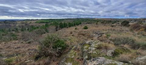 Terreno Rústico  Venda em Sendim e Atenor,Miranda do Douro