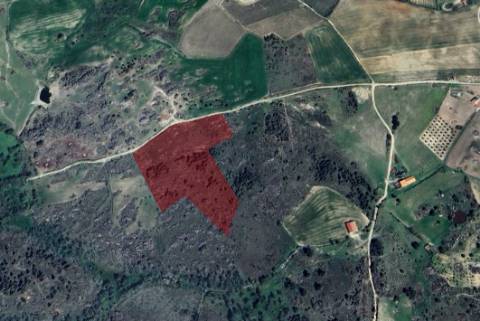 Terreno Rústico  Venda em Sendim e Atenor,Miranda do Douro