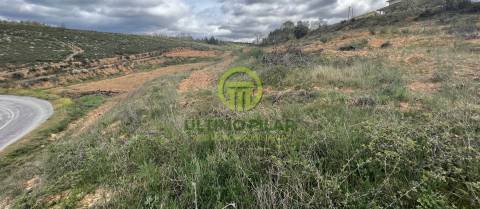 Moradia Isolada Pinelo - Vimioso